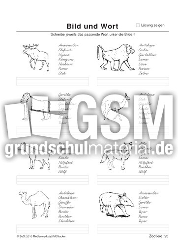BuW Zootiere20.pdf